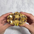 Pistache:         Galleta de vainilla con chispas de chocolate semiamargo, trozos de chocolate blanco y pistaches, rellena de crema de pistache.