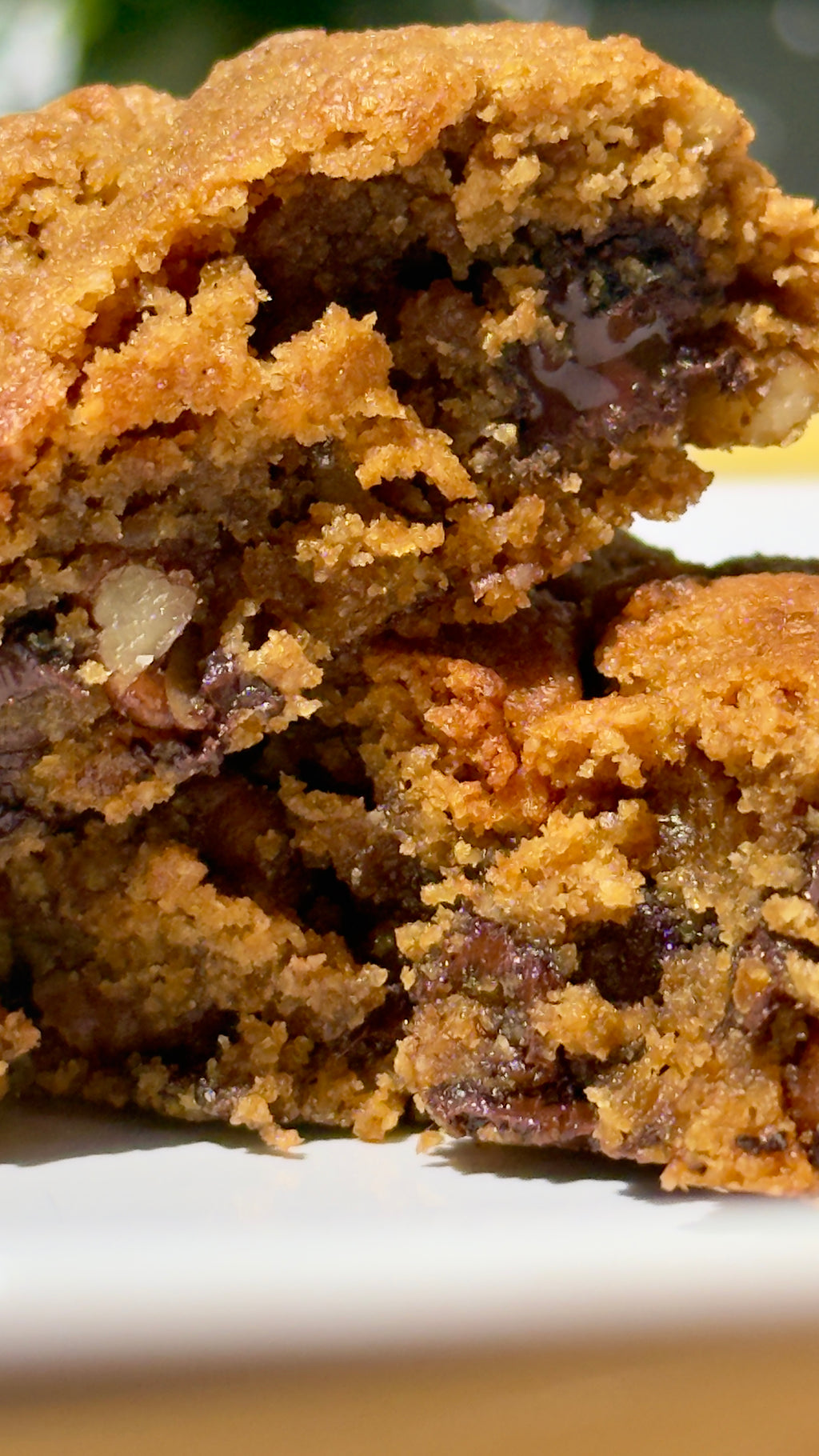 Suselle:        Galleta gluten friendly a base de harina de almendra, avena, con nuez y chocolate semiamargo endulzada con azúcar de coco. Sin Azúcar refinada.